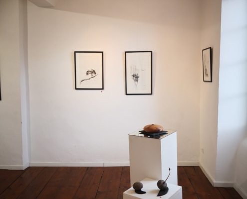 Exposition Romuald Clémenceau Soazig Lemur Abbadiale avril 2019