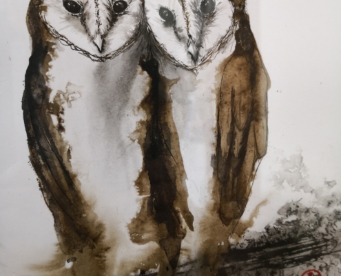 Exposition Romuald Clémenceau Soazig Lemur Abbadiale avril 2019