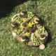 Atelier Land Art Nelly Ducamp Abbadiale août 2019