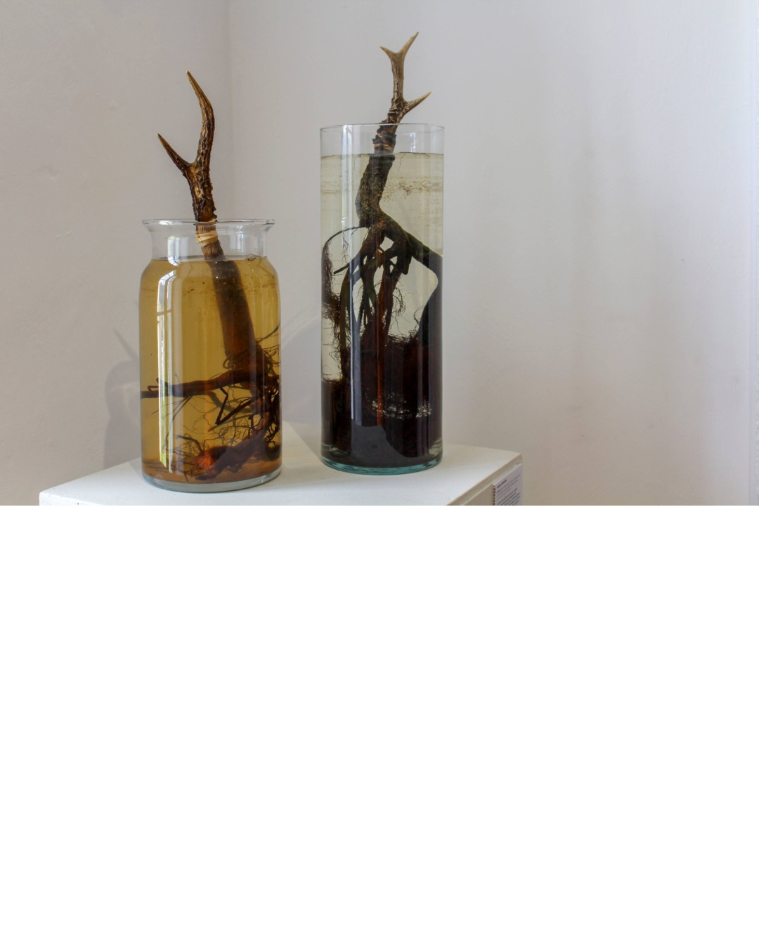 2023_expo-14-2023_rem