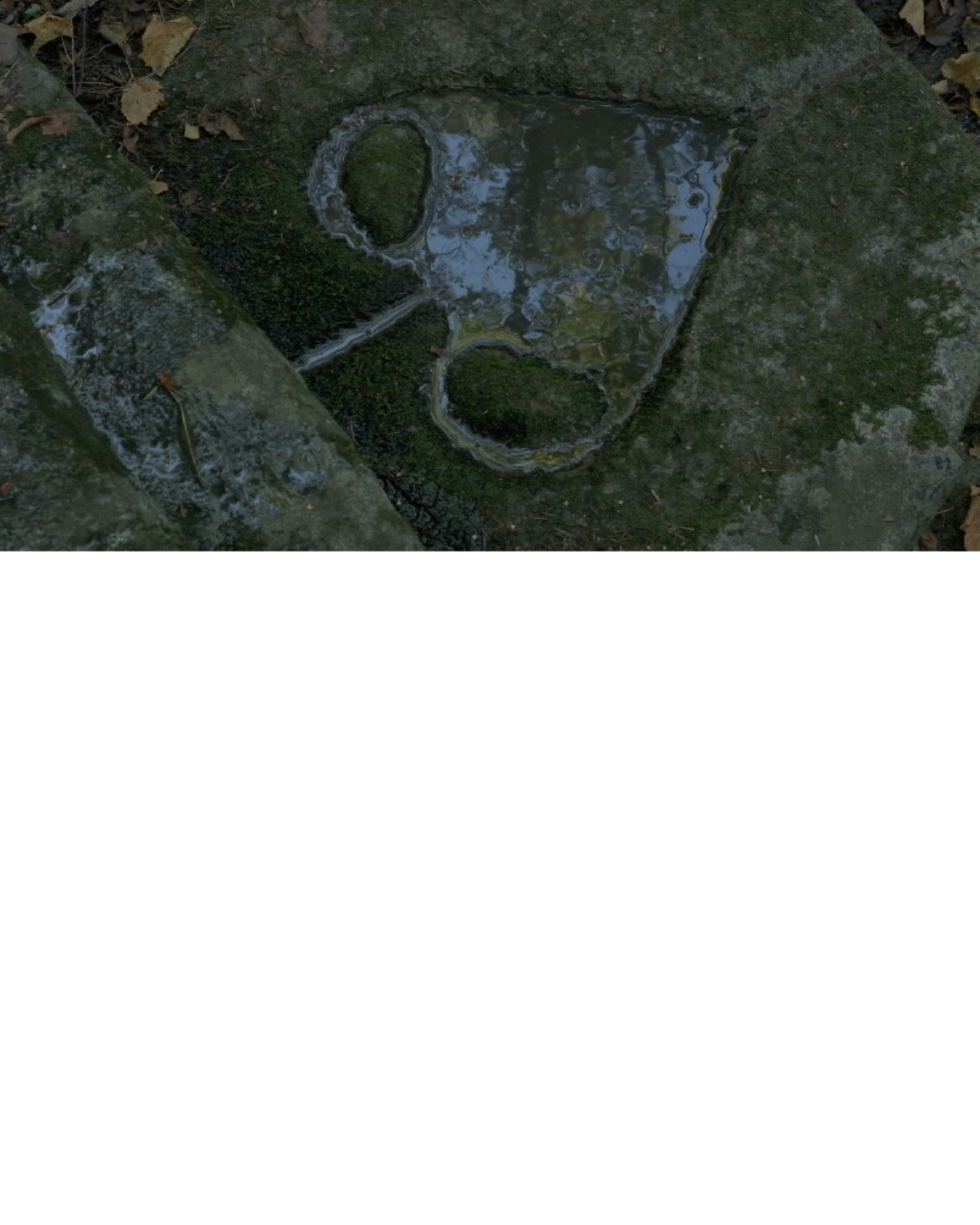 2023_expo-16-2023_rem