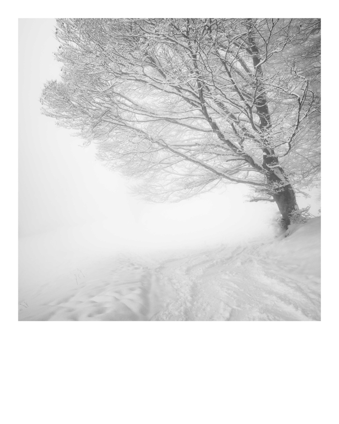 24-12_noel-24-IGw Gwenn Scott – photographie en noir et blanc pose longue, exposition collective de Noël 2024, L'Abbadiale