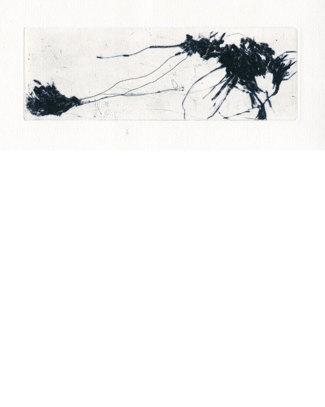 25-02_ekin-13-IGw Ekin Kirimkan – gravure, exposition Intimes variations, L'Abbadiale Arras-en-Lavedan 2025