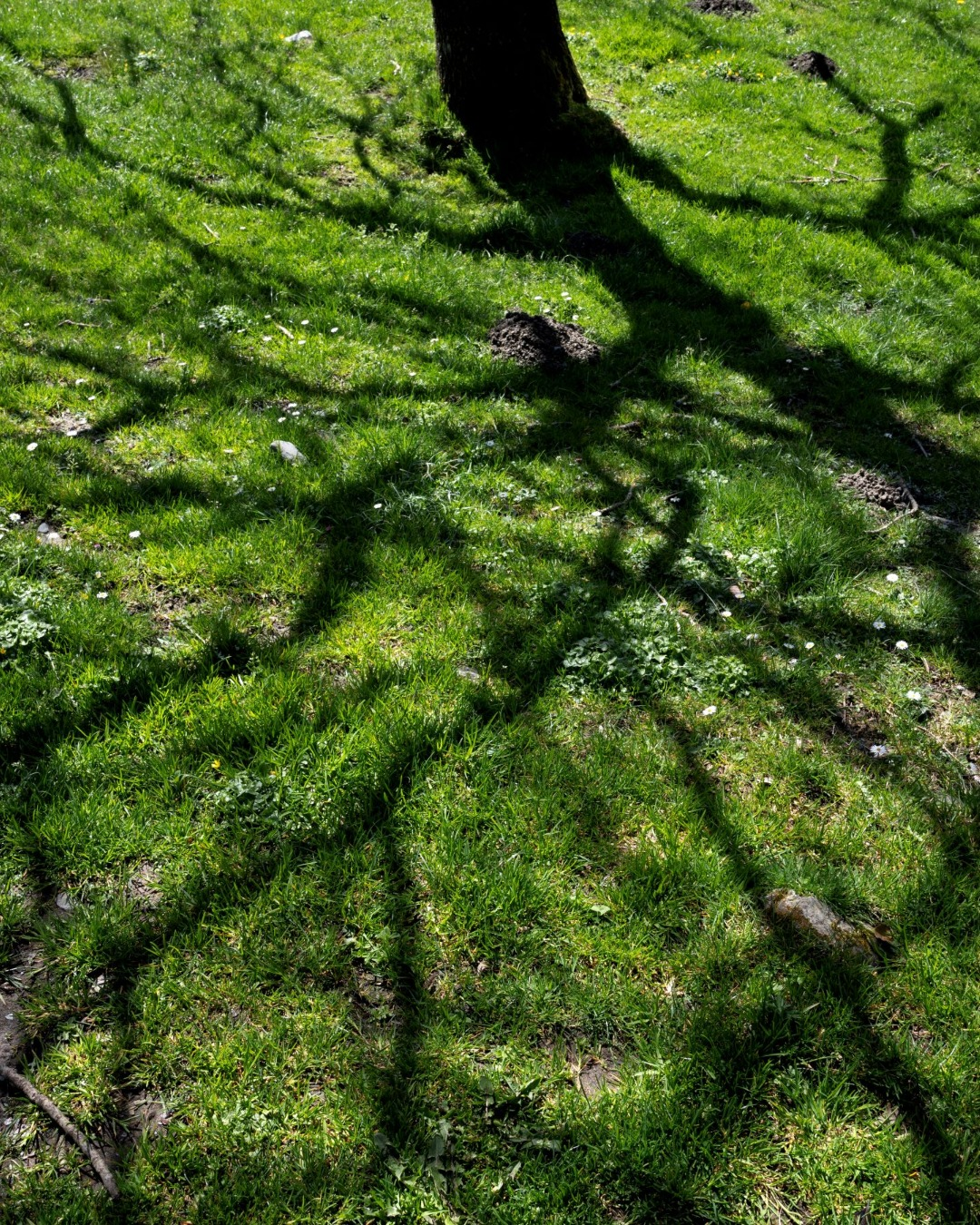 25-08_imaginaire-28-IGw Photographie de Judith Prat – regards des habitants des Pyrénées sur leur territoire, exposition Changer notre imaginaire