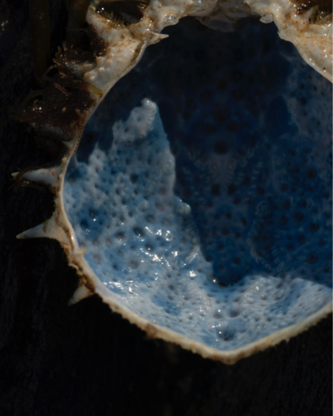 25-08_imaginaire-32-IGw Cloé Harent – textures abrasives et forces archaïques du Cap de Creus, série In Memoriam Terrae