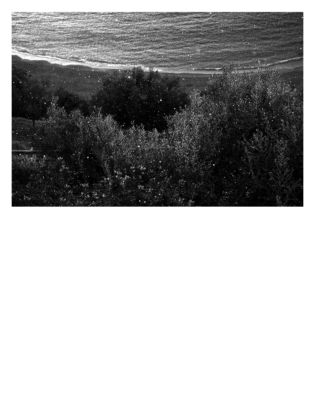 Photographie de Charlotte Auricombe – Cau del llop, strates minérales et imaginaire méditerranéen