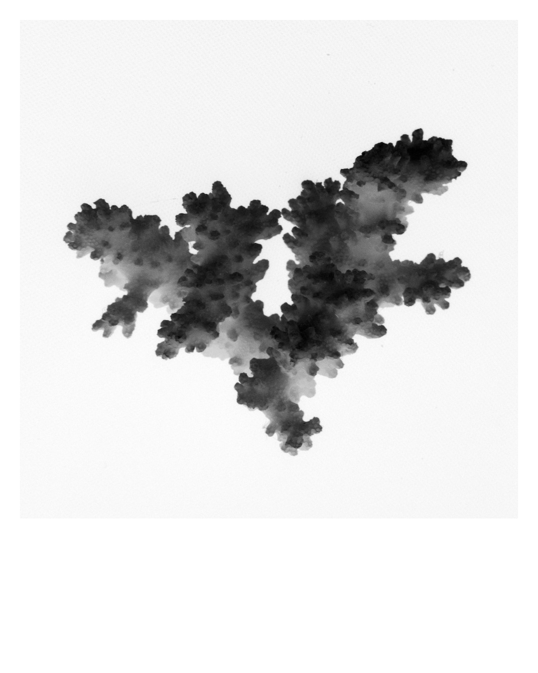 Photographie de Charlotte Auricombe – Cau del llop, strates minérales et imaginaire méditerranéen