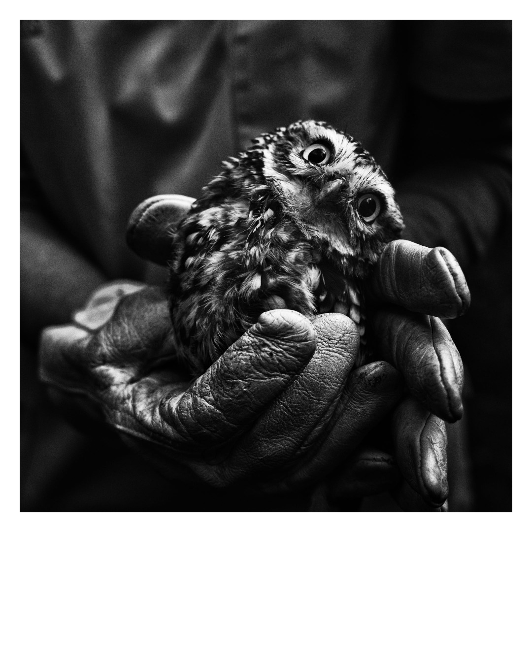 Photographie de Guillaume Noury – série Les Monts manquants, paysage pyrénéen et mémoire d'enfance, exposition Territoires désirés