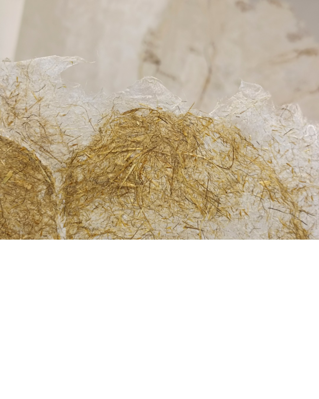 2022-expositions-2-Bernard Détail d'une œuvre en fibres de papier d'Aïdée Bernard – Maison des Arts, Arras-en-Lavedan