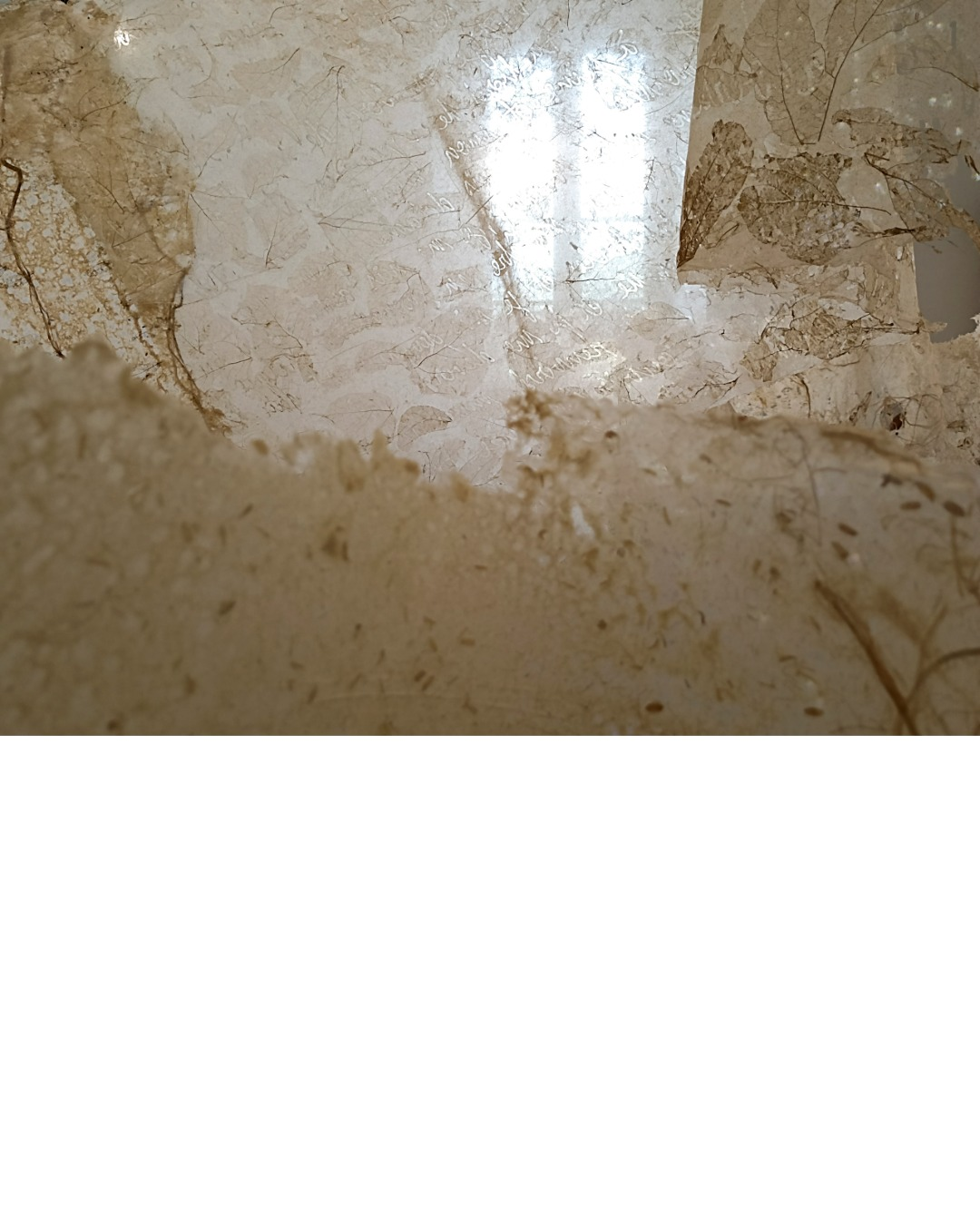 2022-expositions-3-Bernard Détail d'une œuvre en fibres de papier d'Aïdée Bernard – Maison des Arts, Arras-en-Lavedan