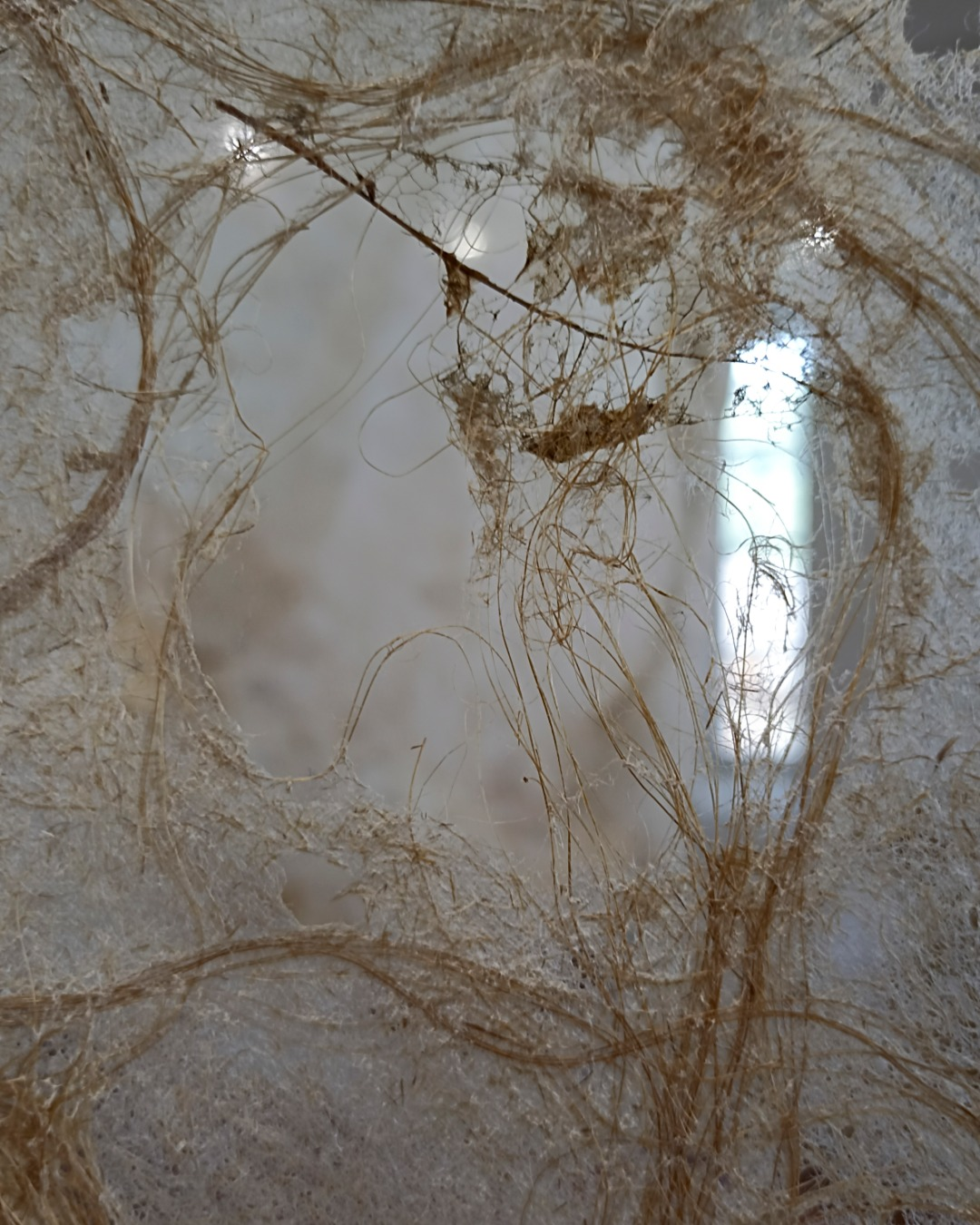 2022-expositions-4-Bernard Détail d'une œuvre en fibres de papier d'Aïdée Bernard – Maison des Arts, Arras-en-Lavedan