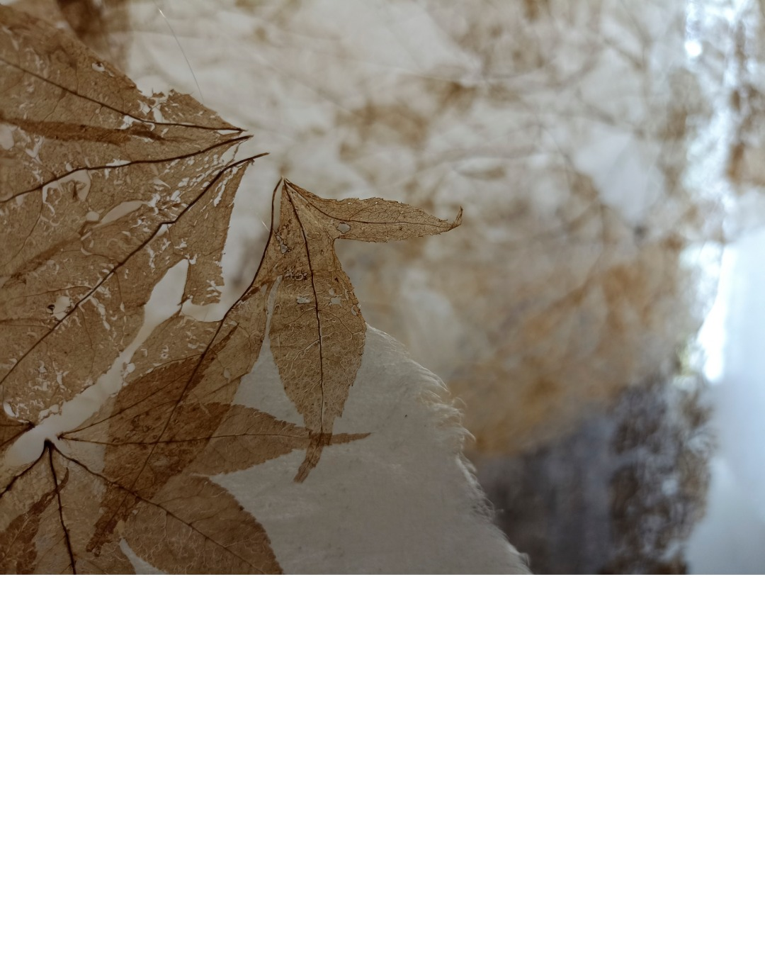 2022-expositions-5-Bernard Détail d'une œuvre en fibres de papier d'Aïdée Bernard – Maison des Arts, Arras-en-Lavedan