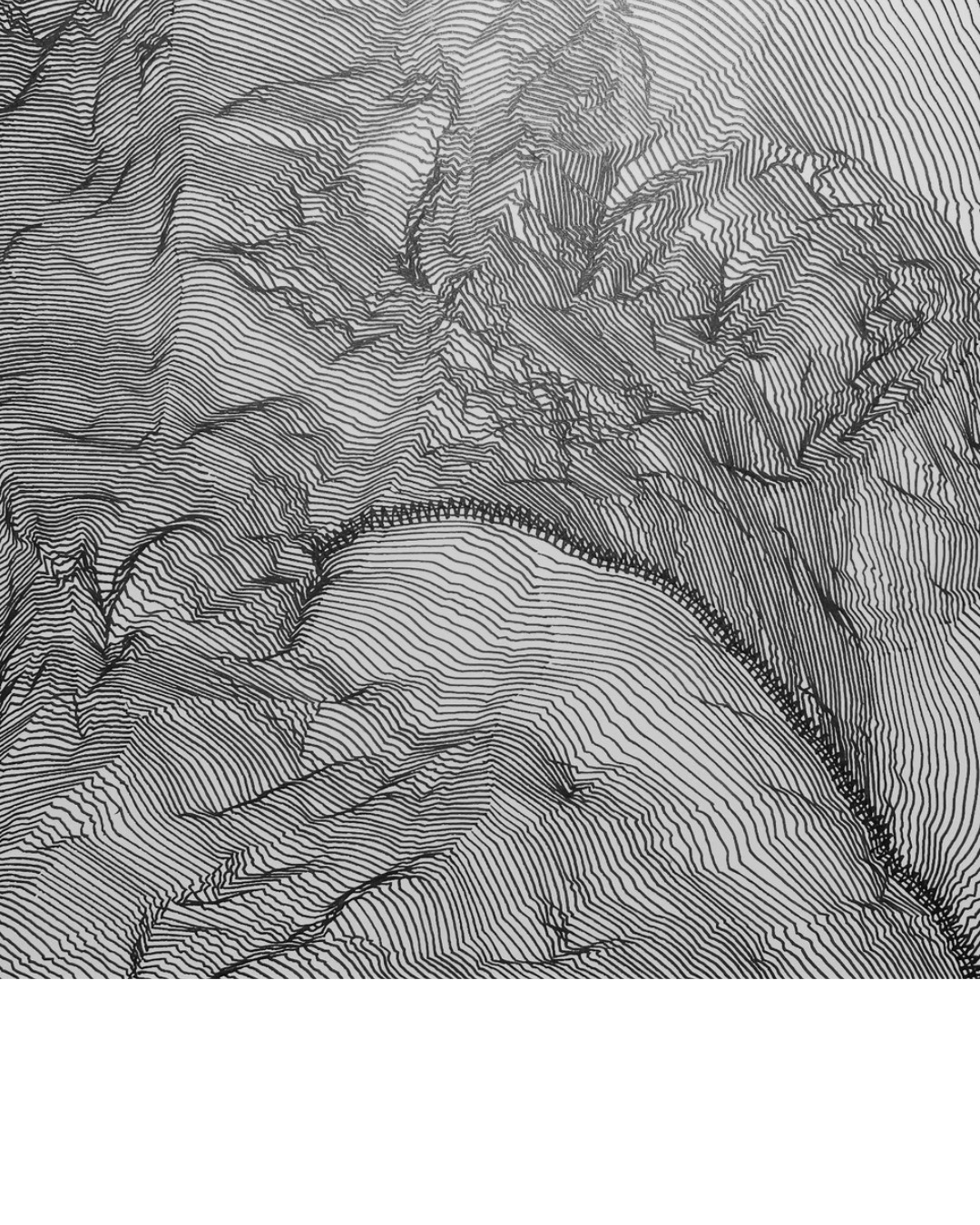 dessin Philippe Jacques