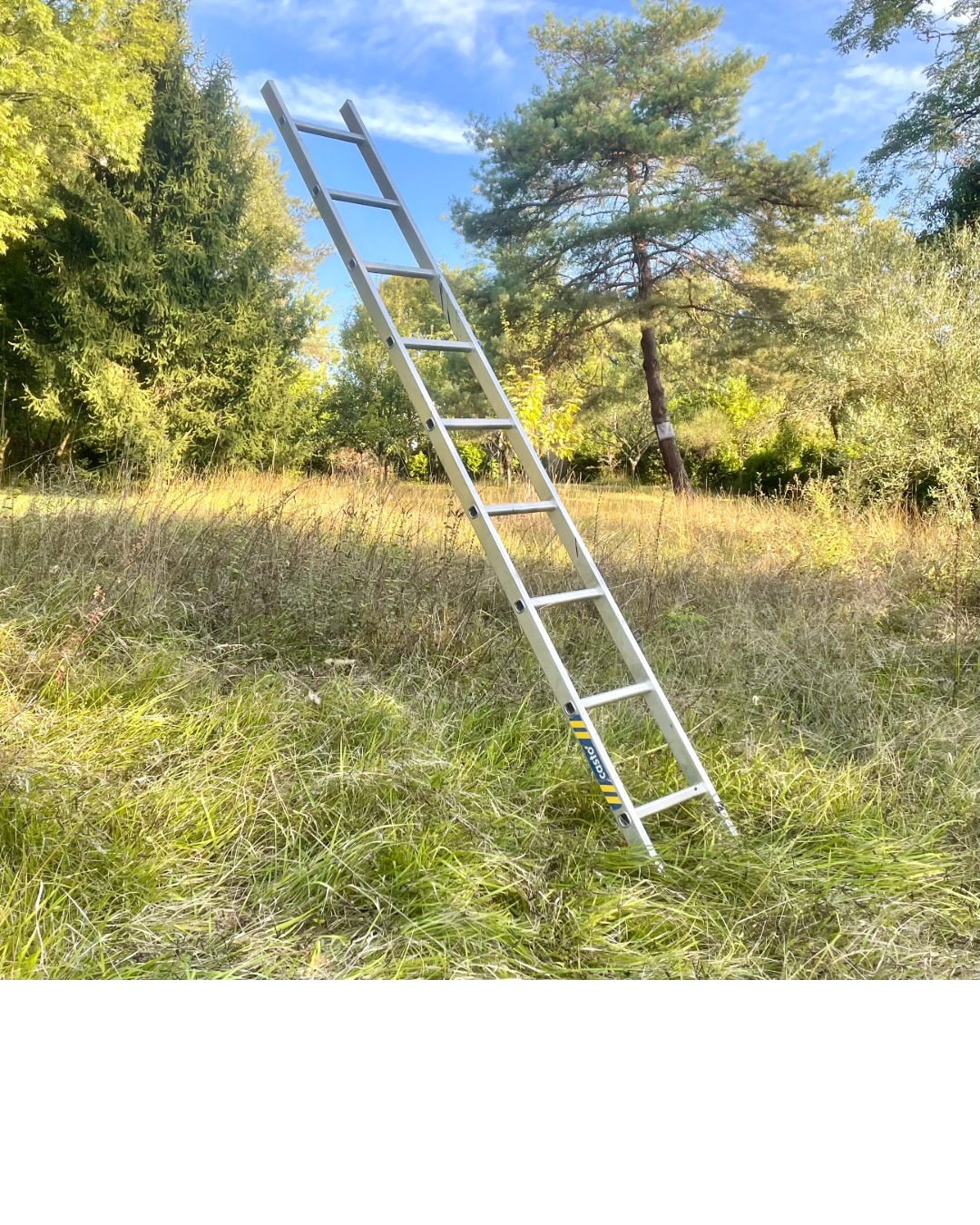 dessin Philippe Jacques