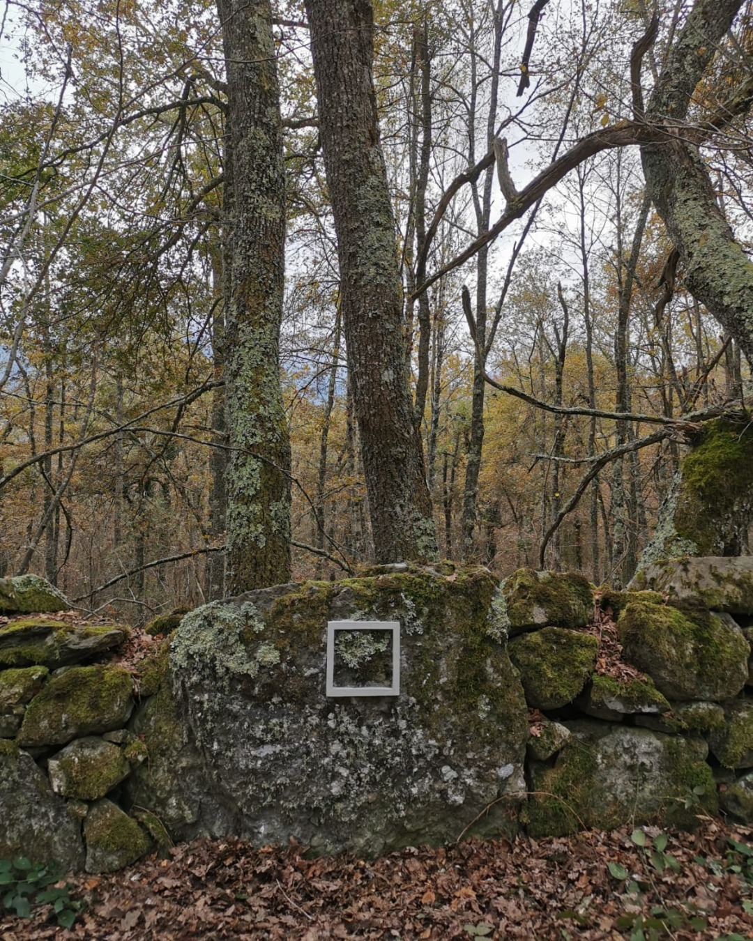 Hors les murs-26-2022 Installation artistique de Parc & Pics sur le sentier du Mont de Gez, Arras-en-Lavedan