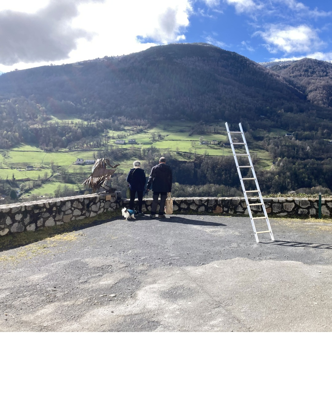 installation Ascension de Philippe Jacques à l'Abbadiale - une échelle