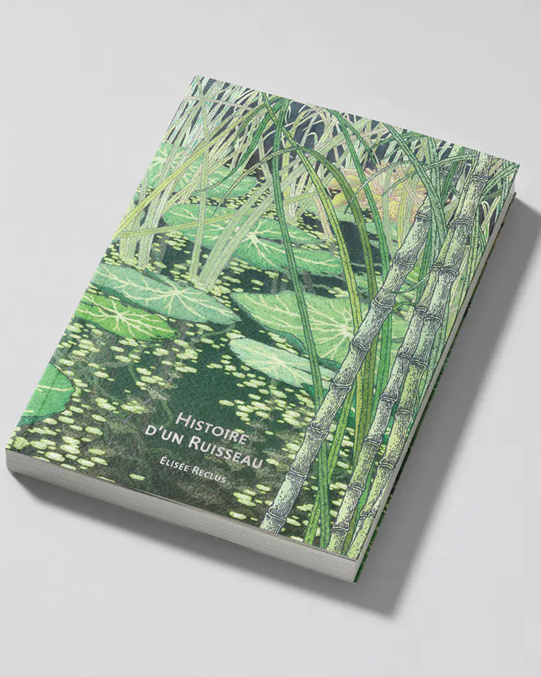 Couverture d'Histoire d'un ruisseau d'Élisée Reclus, illustré par Clément Vuillier, Éditions Reliefs