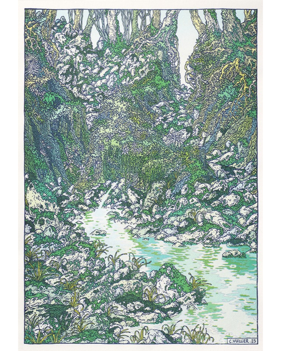 Cours d'eau encaissé entre rochers et végétation dense, risographie de Clément Vuillier pour Histoire d'un ruisseau, Élisée Reclus
