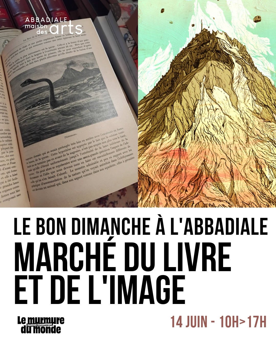 annonce du marché du livre et e l'image à l'Abbadiale le dimanche 14 juin