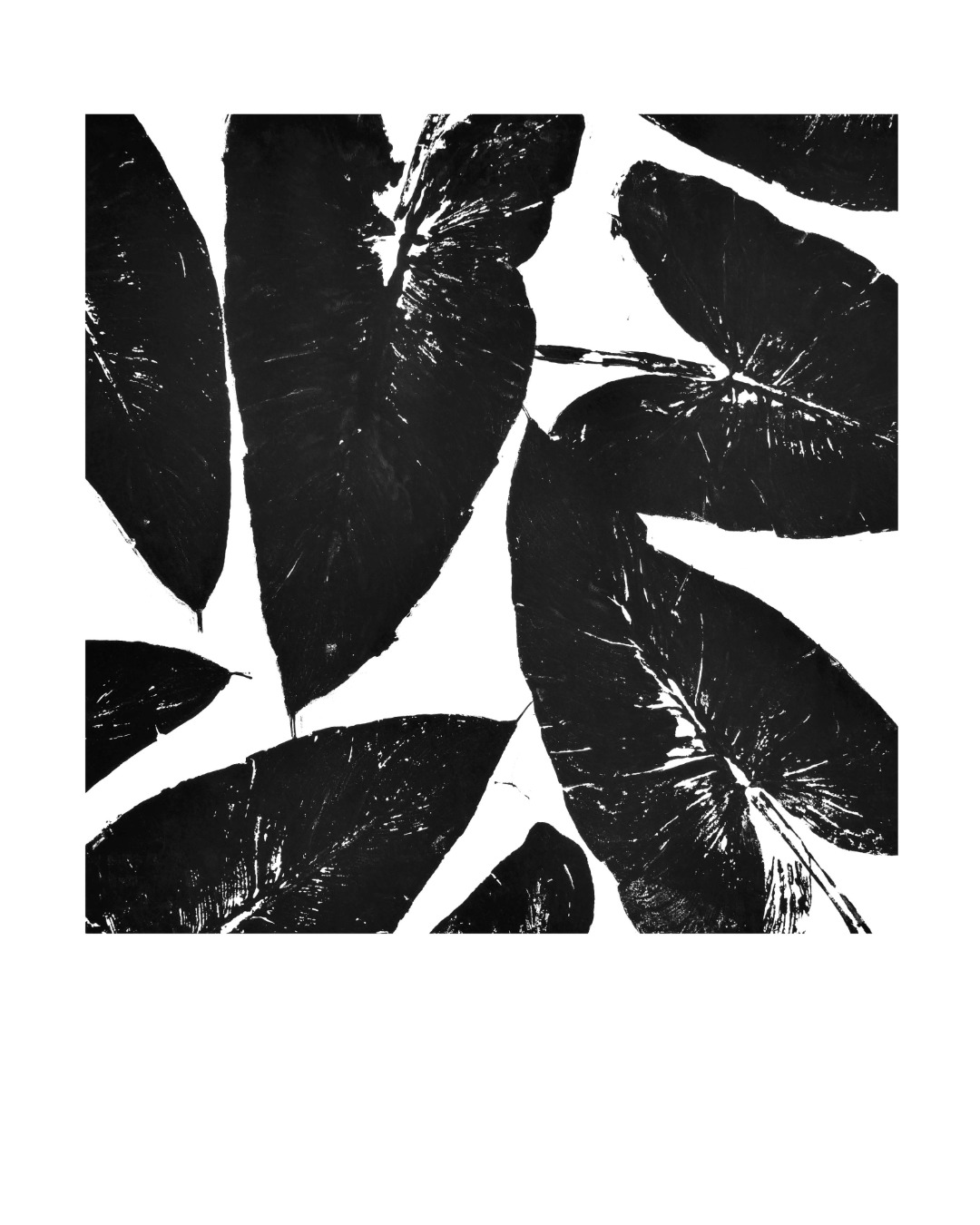 26-08_Penalba-18-IG Série de monotypes végétaux, déclinaison d'une même plante