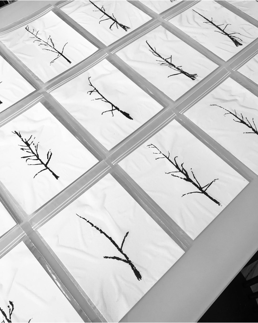 26-08_Penalba-19-IG Série de monotypes végétaux, déclinaison d'une même plante